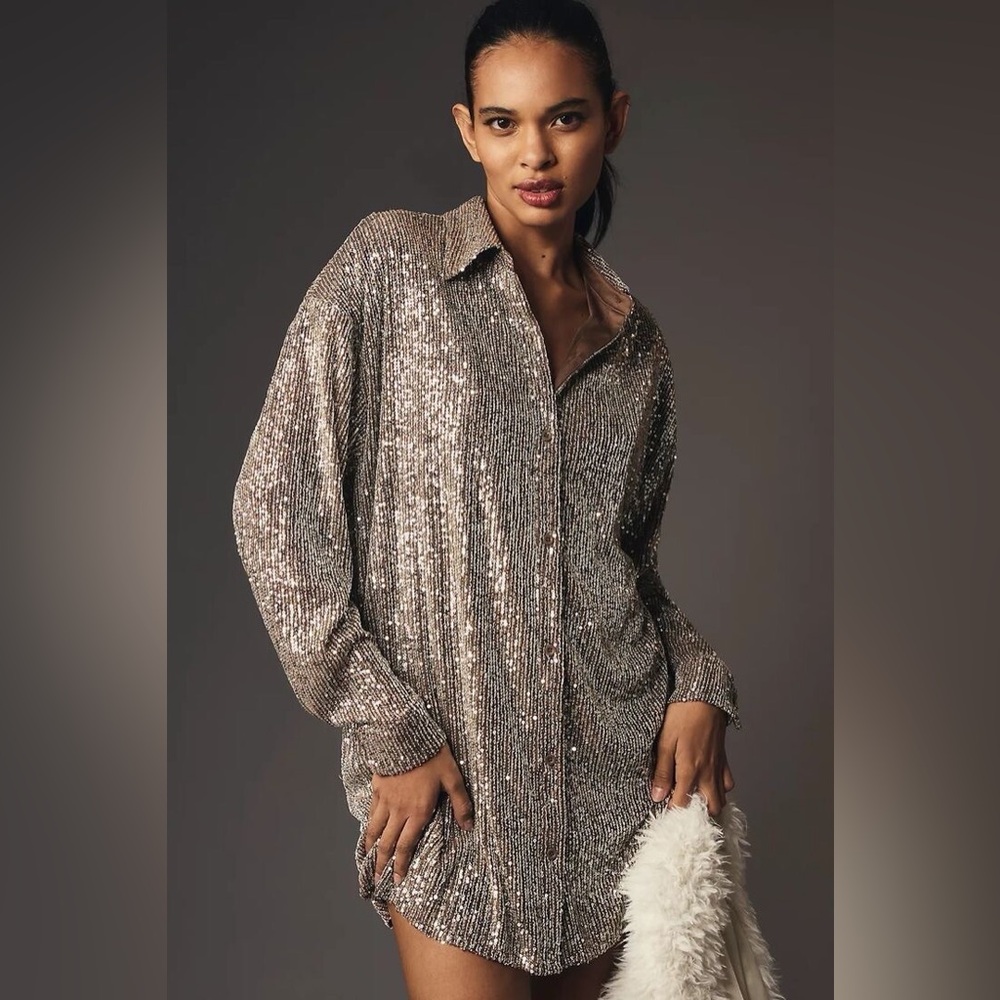 Anthropologie Flat White Sequin Brown Tunic Mini Dress Size S NWT!